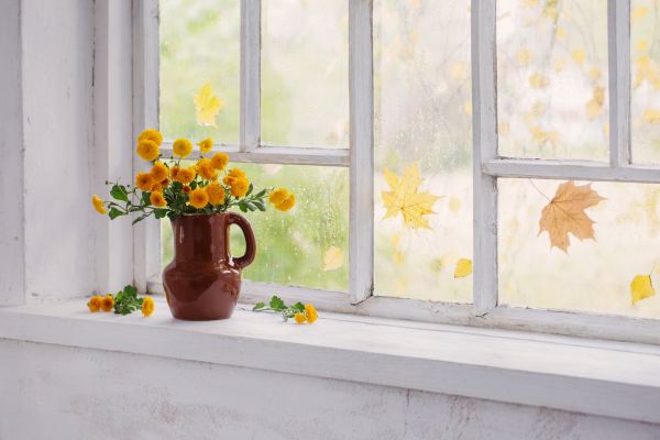 Cracked Window Repair